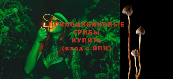 PSILOCYBIN Белоозёрский